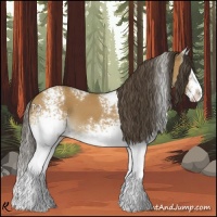 Horse Color:White Spotted Buckskin Splash 