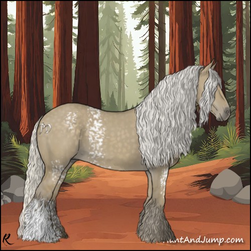 Horse Color:White Spotted Silver Smoky Grullo 