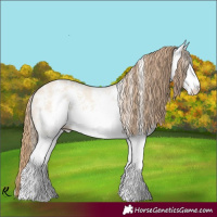 Horse Color:White Spotted Perlino Dun