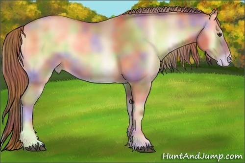 Horse Color:Nacre Red Onyx Pearl