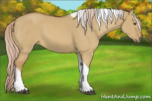 Horse Color:Palomino Dun Tobiano