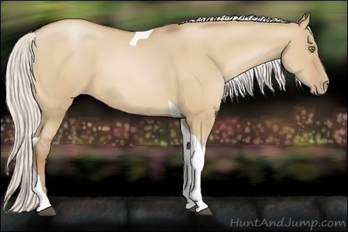 Horse Color:Silver Bay Pearl Dun Tobiano 