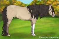 Horse Color:Sable Champagne Dun 
