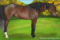 Horse Color:Brown 