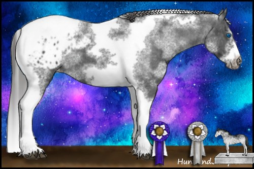 Horse Color:White Spotted Black Splash Tobiano Frame Appaloosa 