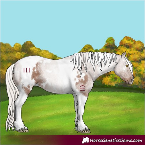 Horse Color:White Spotted Chocolate Silver Black Tobiano 