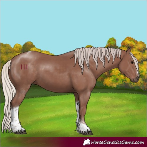 Horse Color:Chocolate Silver Black Tobiano 