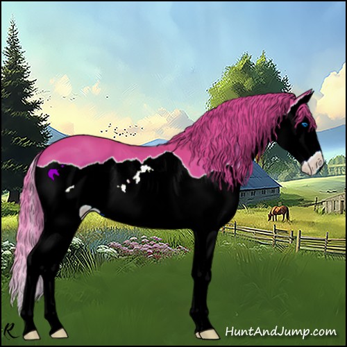Horse Color:Watercolor Chestnut Splash