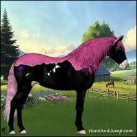 Horse Color:Watercolor Chestnut Splash 