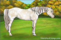 Horse Color:White Spotted Chocolate Palomino Pearl Dun