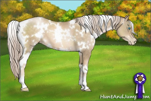 Horse Color:White Spotted Chocolate Palomino Pearl 