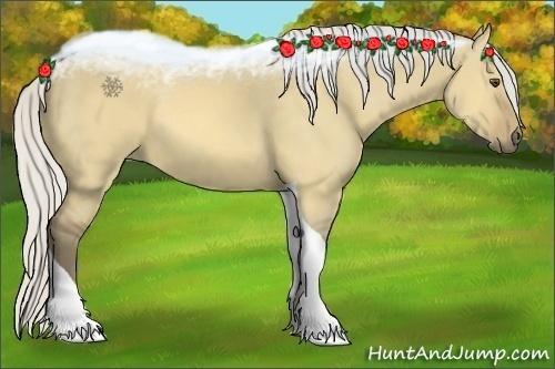 Horse Color:Silver Buckskin Dun Tobiano 