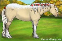 Horse Color:Silver Buckskin Dun Tobiano