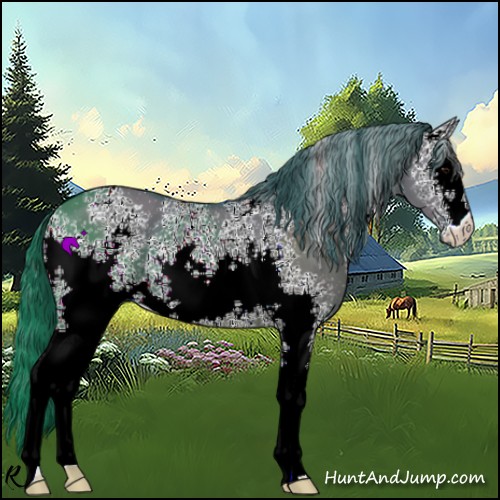 Horse Color:Watercolor White Spotted Smoky Grullo 