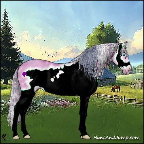 Horse Color:Watercolor White Spotted Bay Dun Splash Frame 