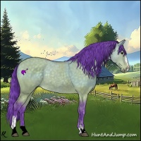 Horse Color:Watercolor Buckskin Dun Sabino 