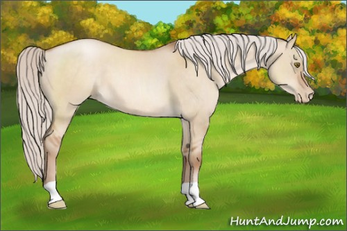 Horse Color:Silver Brown Pearl Dun 