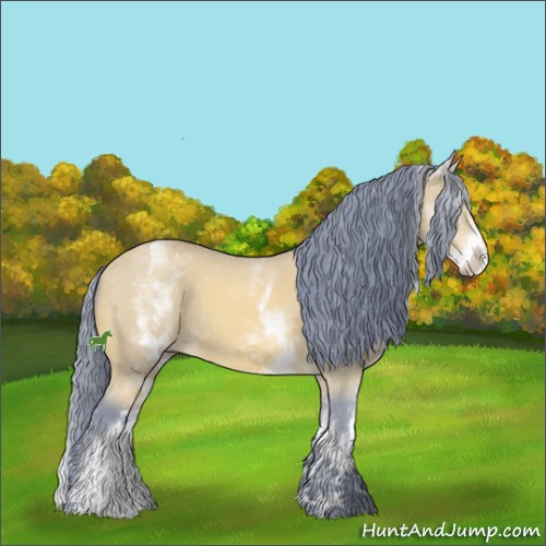 Horse Color:Watercolor White Spotted Buckskin Rabicano