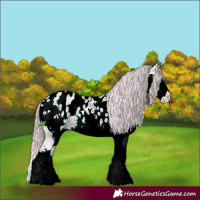 Horse Color:Watercolor Chestnut Ice Sabino Splash Appaloosa 
