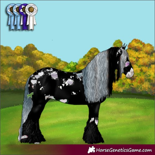 Horse Color:Watercolor Brown Onyx Sabino Splash 