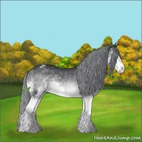 Horse Color:Brown Chinchilla Sabino Splash Varnish 