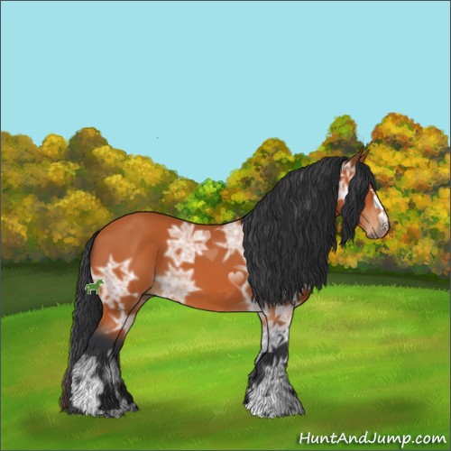 Horse Color:Bay Ice Sabino 