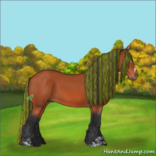 Horse Color:Painted Bay Sabino 