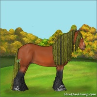Horse Color:Painted Bay Sabino 