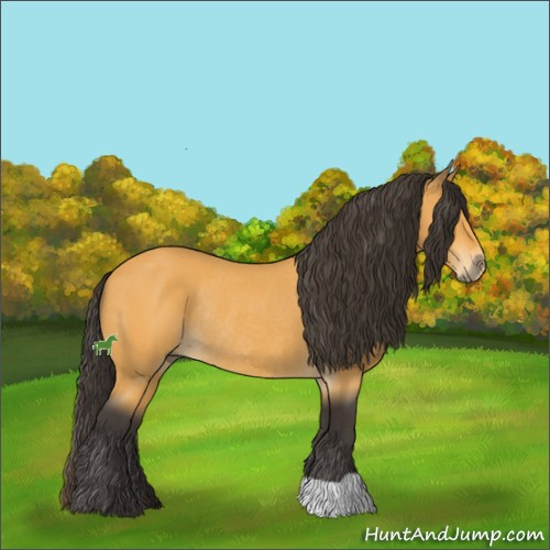 Horse Color:Buckskin Rabicano 