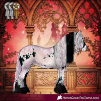 Horse Color:Watercolor White Spotted Silver Blue Onyx Ice Sabino 