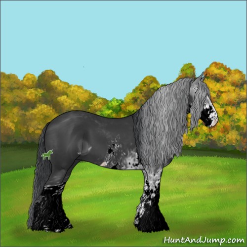 Horse Color:ERROR: UNKNOWN ANOMALY