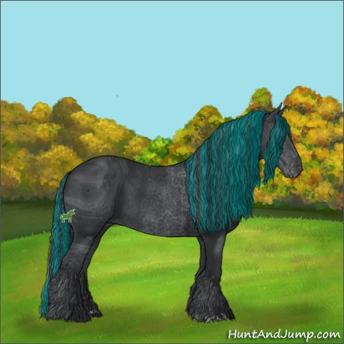 Horse Color:ERROR: UNKNOWN ANOMALY