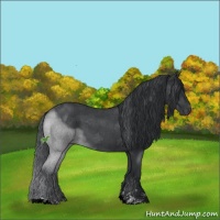 Horse Color:Blue Roan Mushroom Sabino 