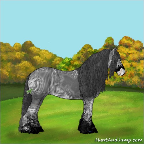 Horse Color:ERROR: UNKNOWN ANOMALY