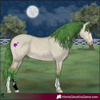 Horse Color:Watercolor Bay Dun 