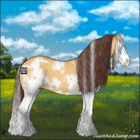 Horse Color:White Spotted Chocolate Buckskin Splash 