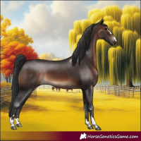 Horse Color:Brown 