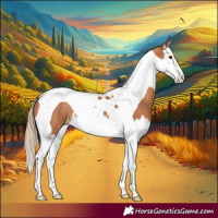 Horse Color:Chestnut Splash Tobiano 