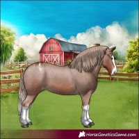 Horse Color:Chestnut Splash Varnish 