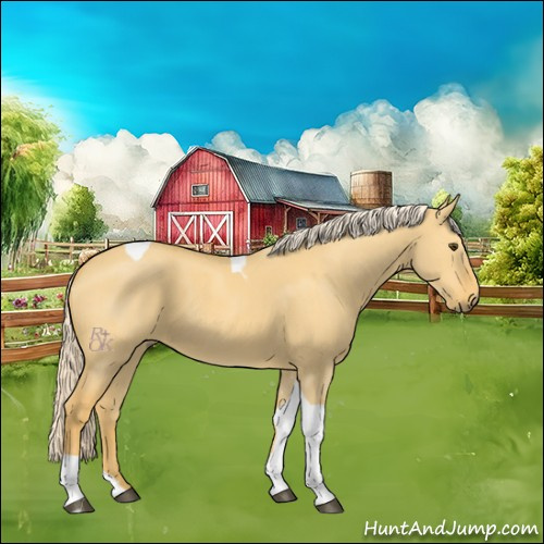 Horse Color:Palomino Dun Tobiano