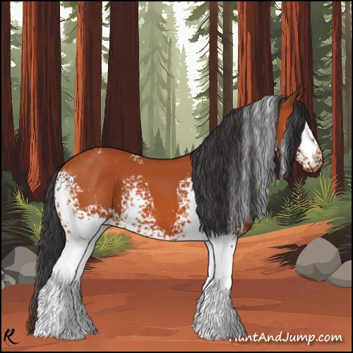 Horse Color:White Spotted Bay 