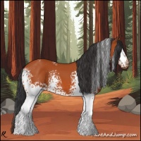 Horse Color:White Spotted Bay 