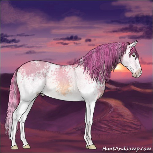 Horse Color:Watercolor White Spotted Red Dun Splash Rabicano