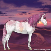 Horse Color:Watercolor White Spotted Red Dun Splash Rabicano 