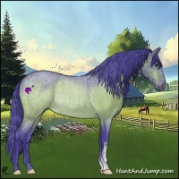 Horse Color:Watercolor Brown Roan Rabicano 