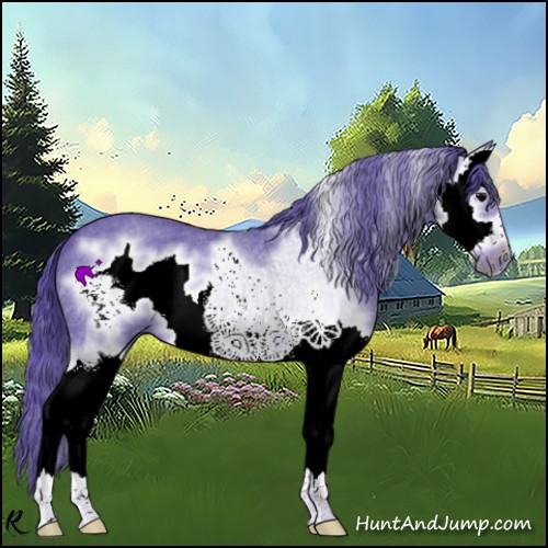 Horse Color:Watercolor Blue Roan Splash Frame Rabicano 