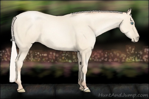 Horse Color:Silver Amber Cream Champagne Pearl 