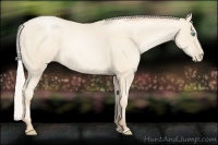 Horse Color:Silver Amber Cream Champagne Pearl