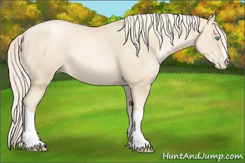 Horse Color:Gold Cream Champagne Pearl 