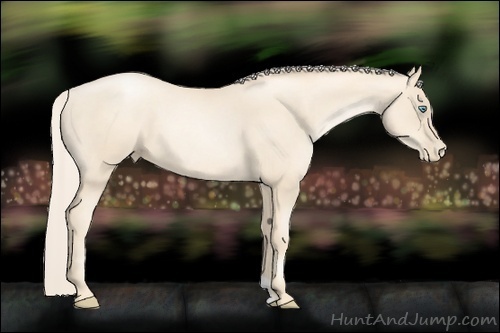 Horse Color:Gold Cream Champagne Roan Pearl
